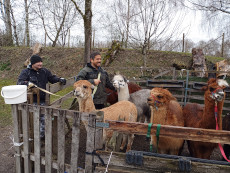 Untergalerie öffnen 