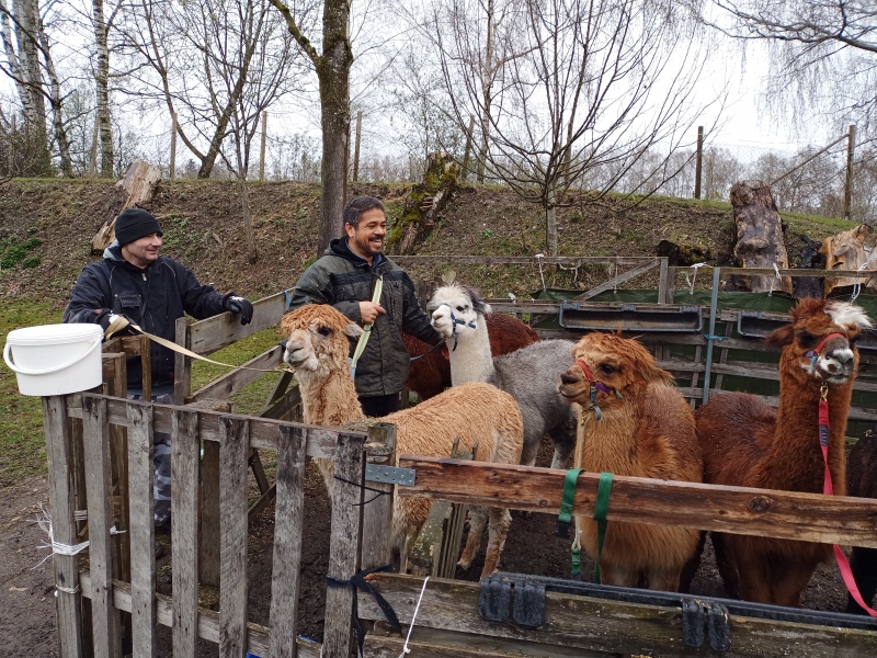 Skaliertes Bild IMG_20240324_103212_833.jpg 