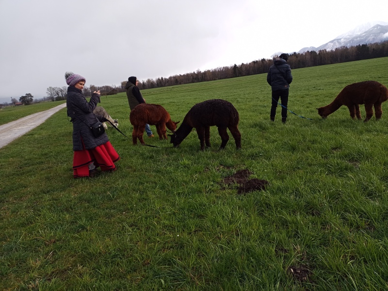 Skaliertes Bild IMG_20240324_110340_021.jpg 