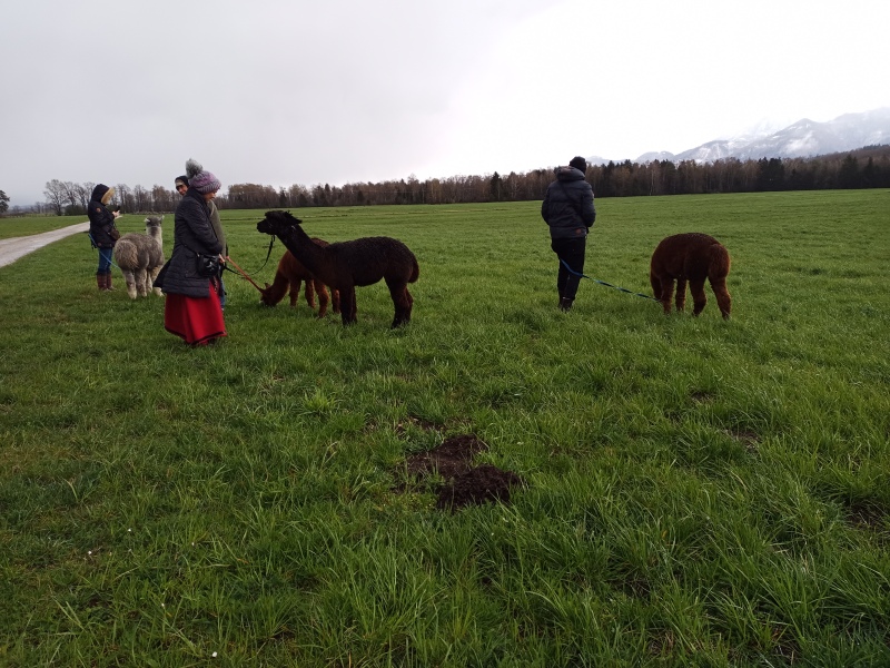 Skaliertes Bild IMG_20240324_110404_496.jpg 