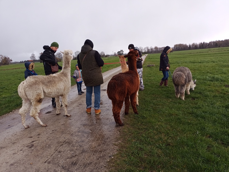 Skaliertes Bild IMG_20240324_111022_470.jpg 