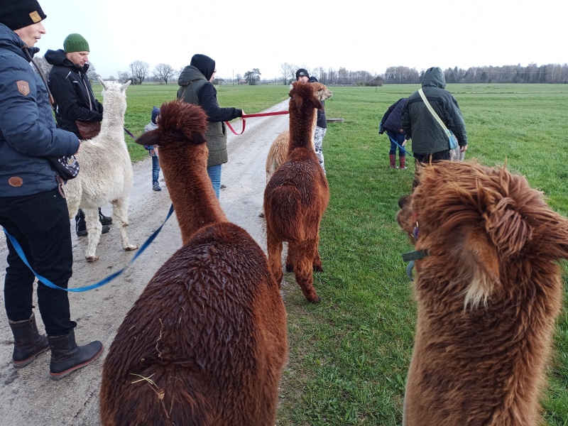 Skaliertes Bild IMG_20240324_111032_686.jpg 