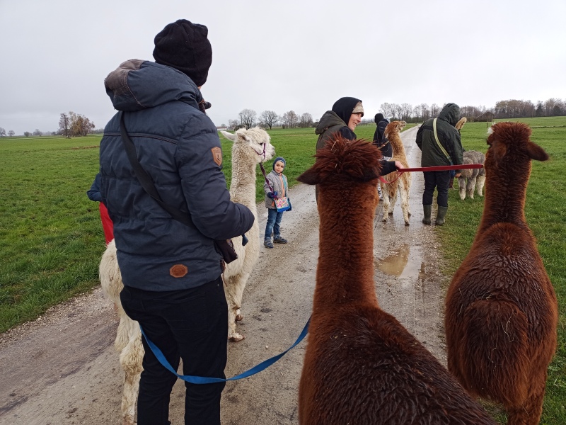 Skaliertes Bild IMG_20240324_111048_826.jpg 