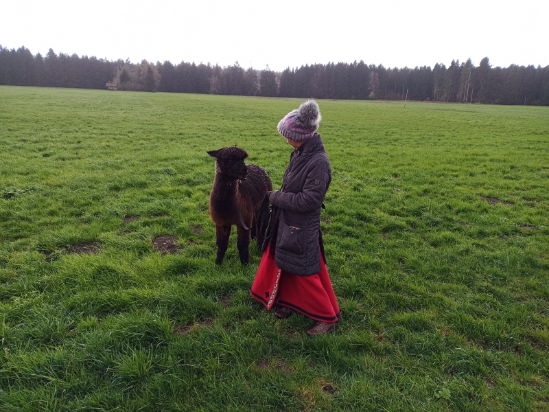 Skaliertes Bild IMG_20240324_111101_907.jpg 