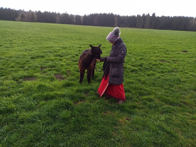 Skaliertes Bild IMG_20240324_111105_844.jpg 