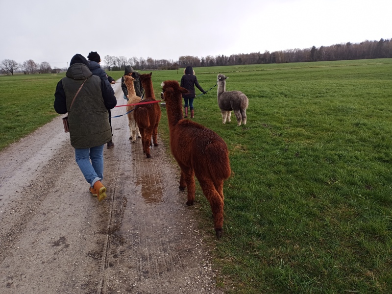 Skaliertes Bild IMG_20240324_111112_367.jpg 