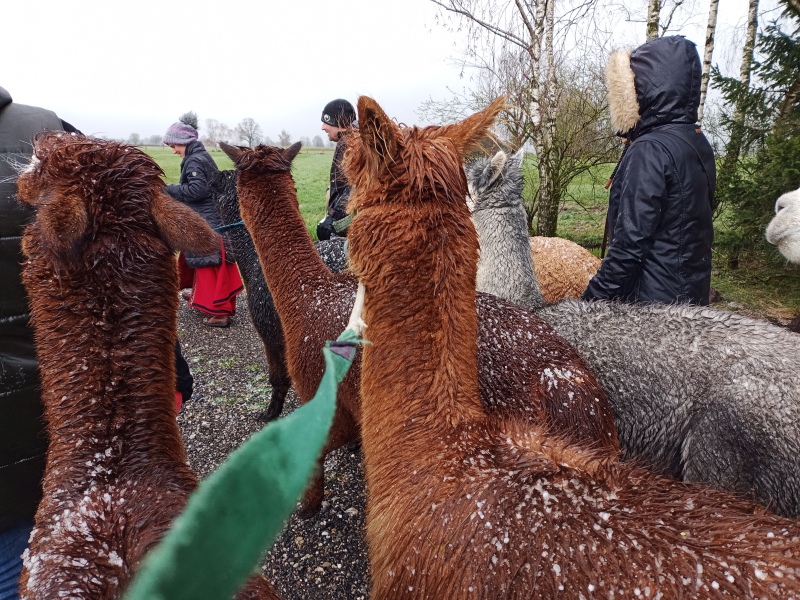 Skaliertes Bild IMG_20240324_112513_275.jpg 