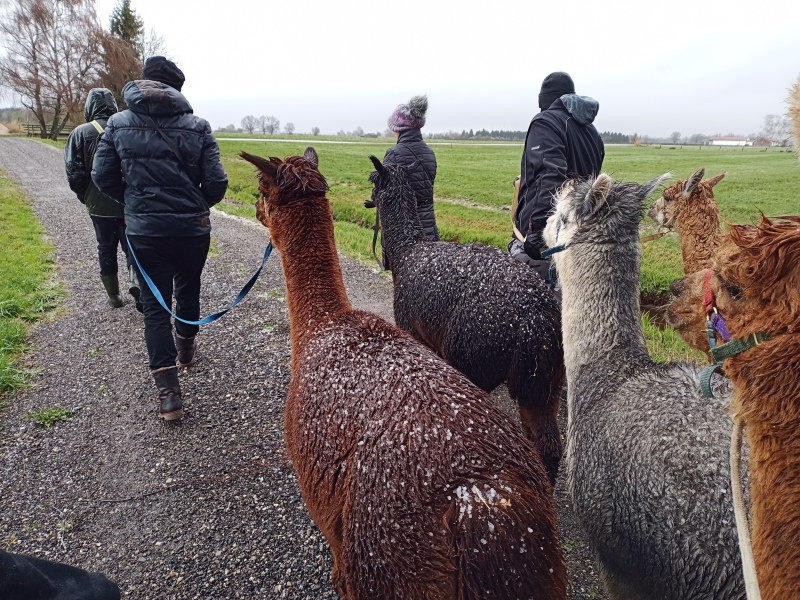 Skaliertes Bild IMG_20240324_112521_683.jpg 