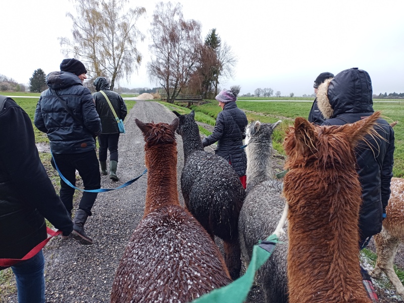 Skaliertes Bild IMG_20240324_112533_919.jpg 