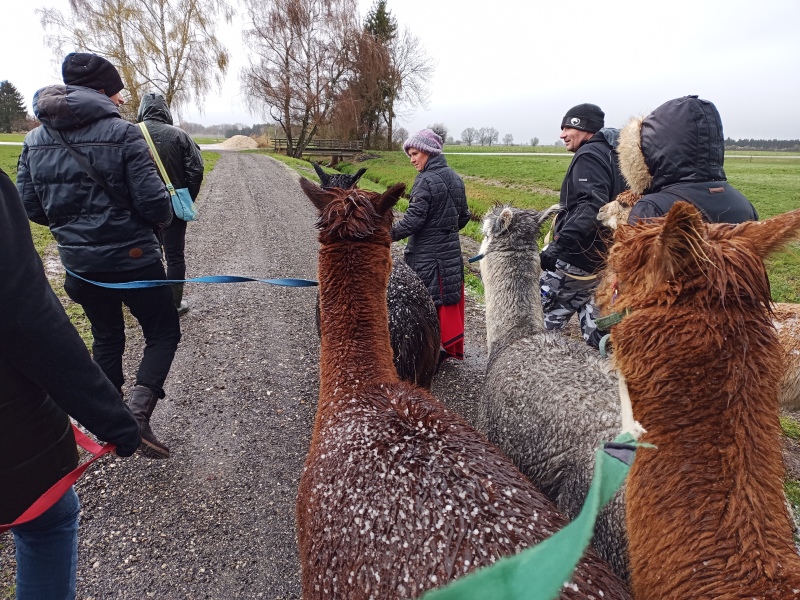 Skaliertes Bild IMG_20240324_112536_081.jpg 