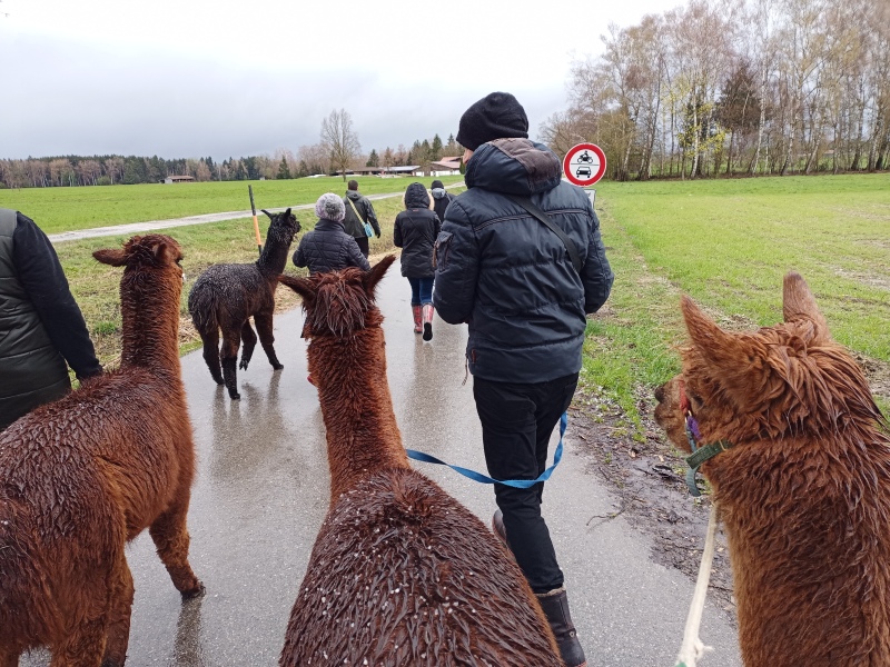 Skaliertes Bild IMG_20240324_113237_918.jpg 