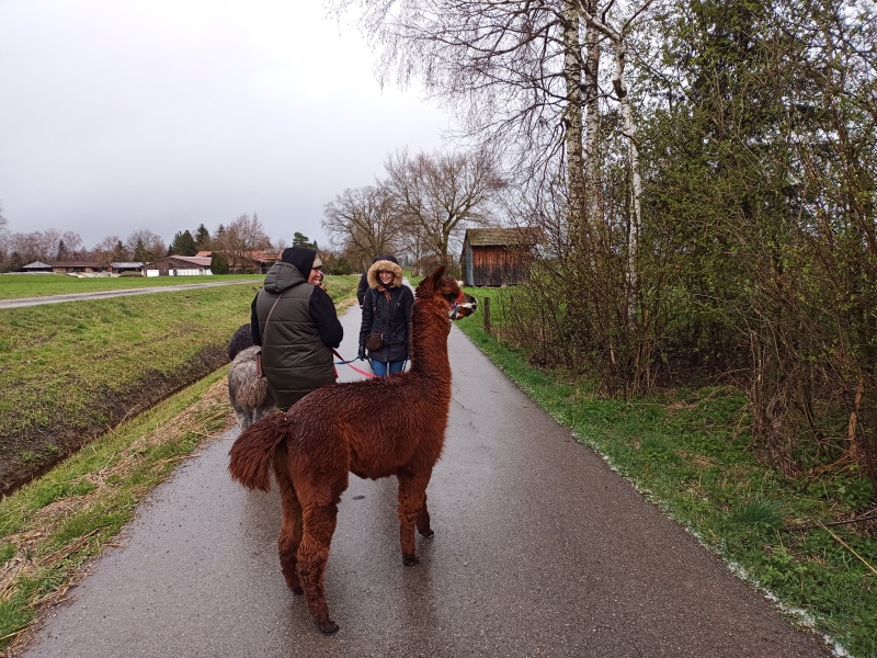 Skaliertes Bild IMG_20240324_113347_458.jpg 