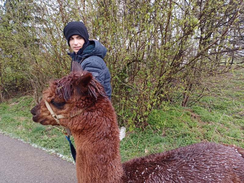 Skaliertes Bild IMG_20240324_113351_288.jpg 