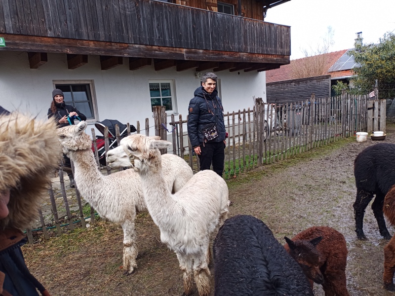 Skaliertes Bild IMG_20240324_115029_773.jpg 