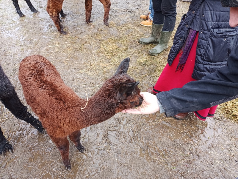 Skaliertes Bild IMG_20240324_115036_937.jpg 