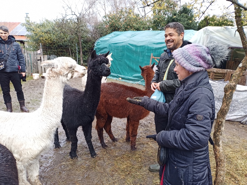 Skaliertes Bild IMG_20240324_115051_811.jpg 