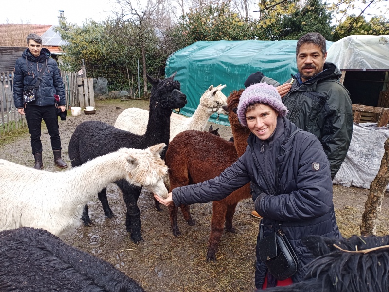 Skaliertes Bild IMG_20240324_115113_307.jpg 