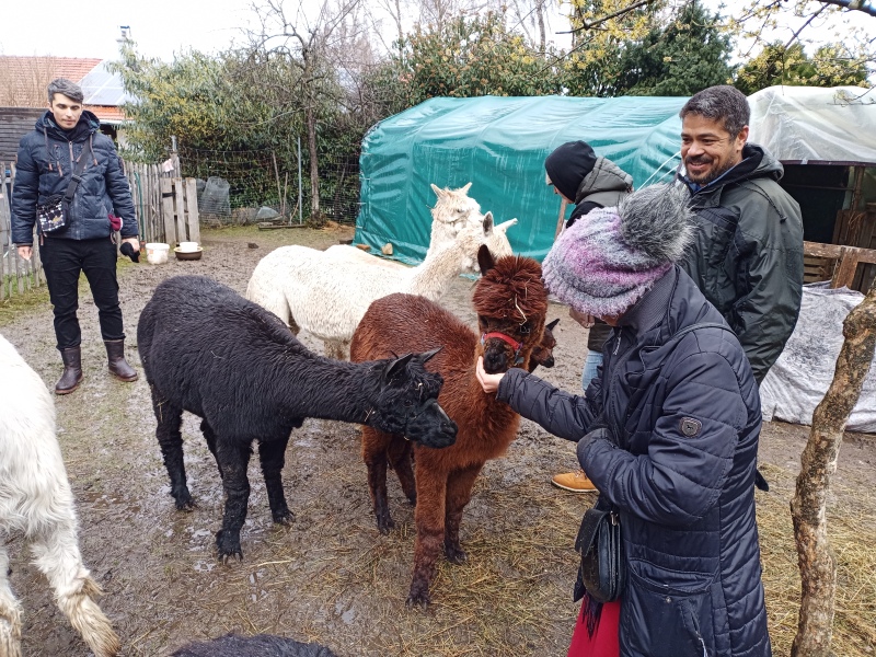 Skaliertes Bild IMG_20240324_115118_590.jpg 