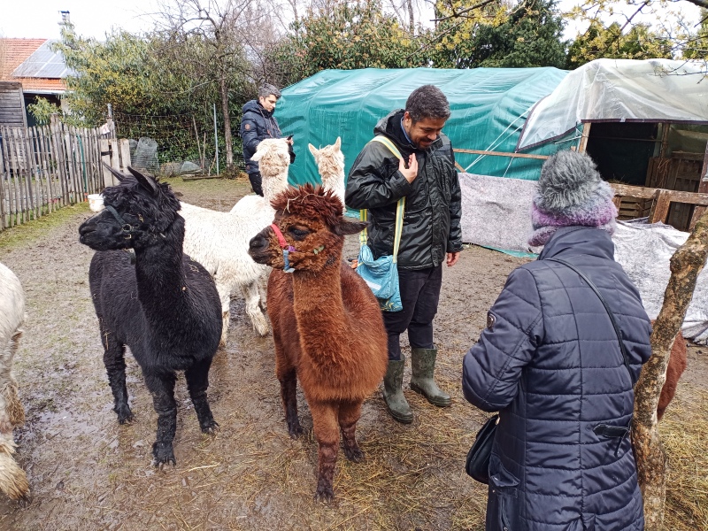 Skaliertes Bild IMG_20240324_115141_627.jpg 