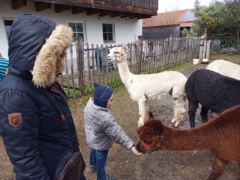 Skaliertes Bild IMG_20240324_115147_831.jpg 