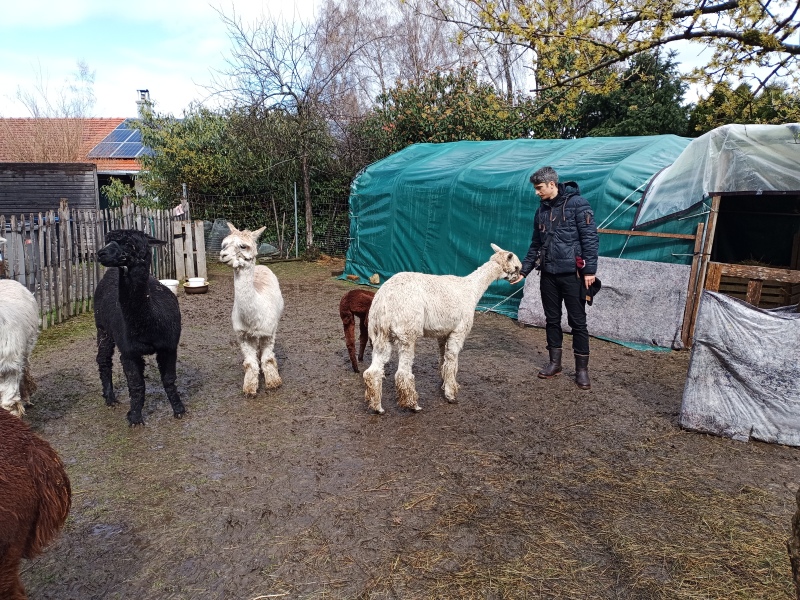 Skaliertes Bild IMG_20240324_115257_830.jpg 