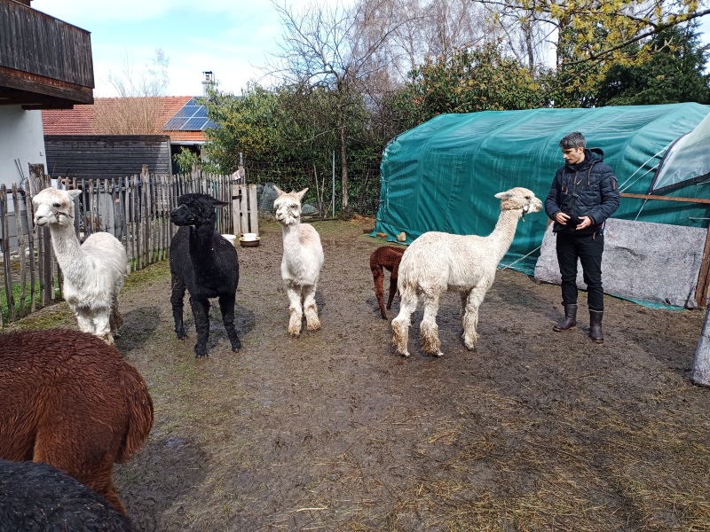 Skaliertes Bild IMG_20240324_115300_158.jpg 