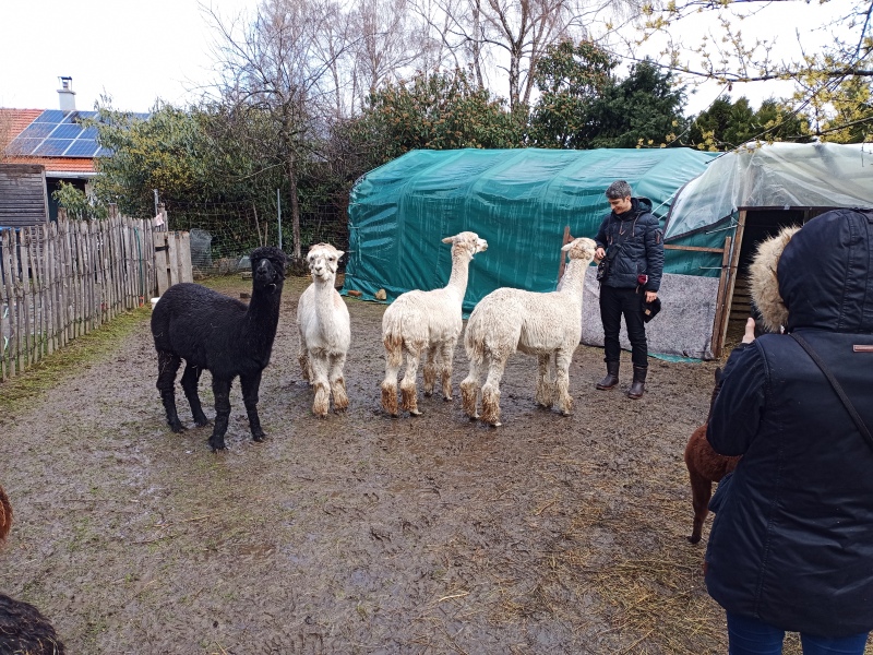 Skaliertes Bild IMG_20240324_115338_297.jpg 