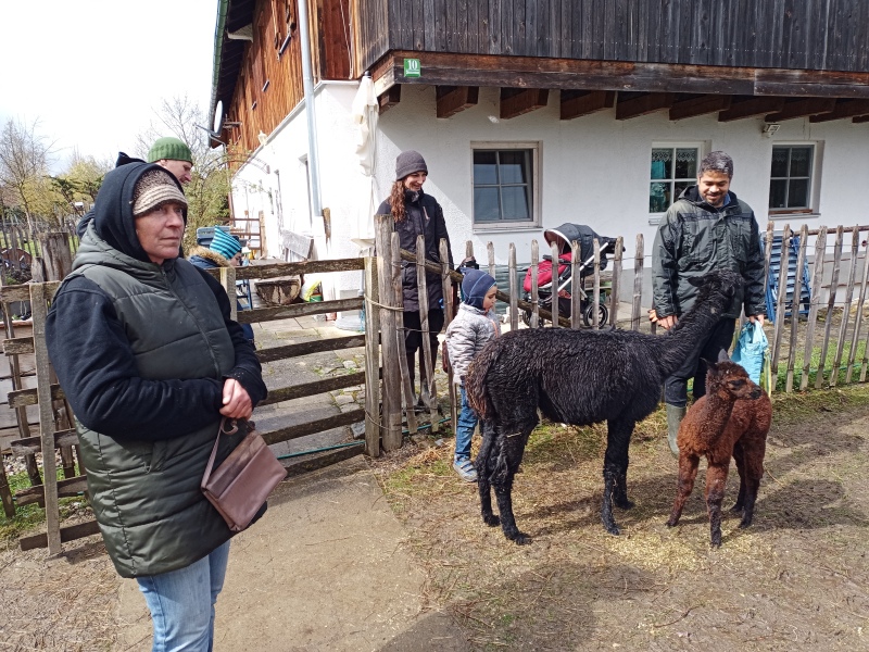 Skaliertes Bild IMG_20240324_115625_024.jpg 