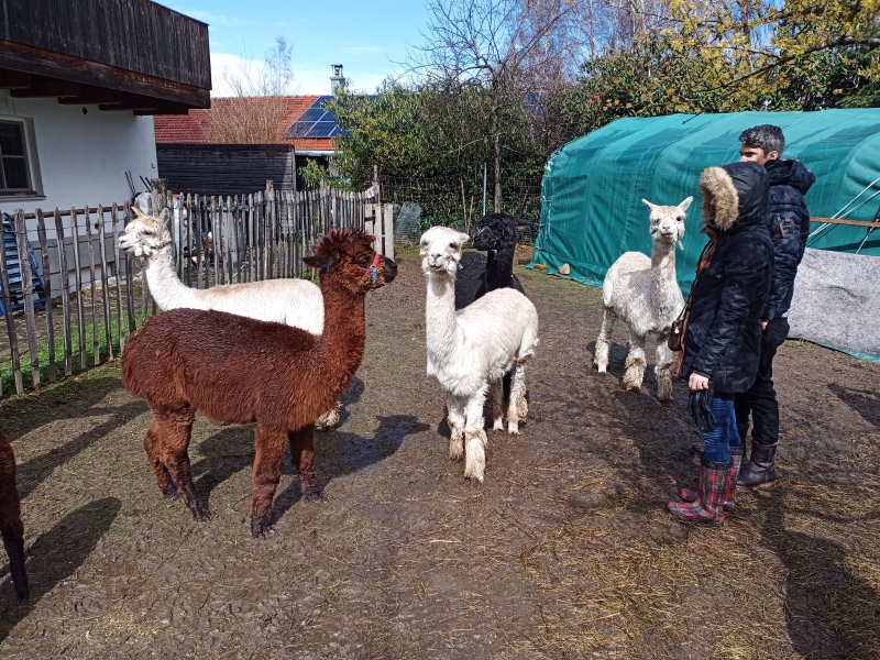 Skaliertes Bild IMG_20240324_115639_469.jpg 