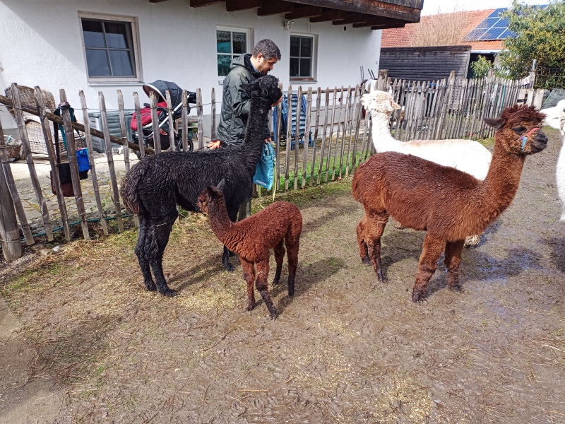 Skaliertes Bild IMG_20240324_115642_131.jpg 