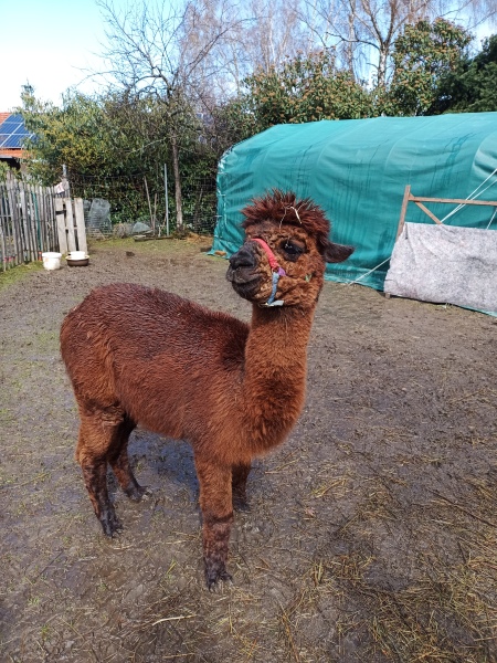 Skaliertes Bild IMG_20240324_115908_250.jpg 