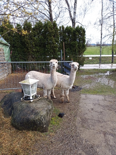 Skaliertes Bild IMG_20240324_115926_731.jpg 