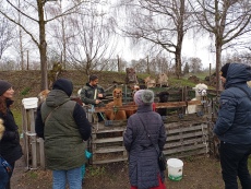 Vorschaubild IMG_20240324_103052_410.jpg 