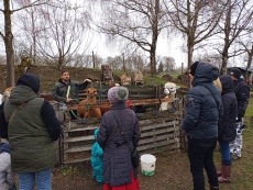 Vorschaubild IMG_20240324_103057_539.jpg 