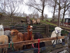 Vorschaubild IMG_20240324_103209_869.jpg 