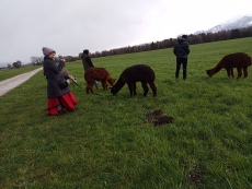 Vorschaubild IMG_20240324_110340_021.jpg 