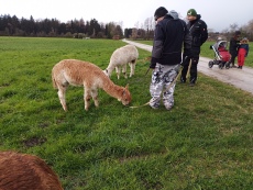 Vorschaubild IMG_20240324_110348_047.jpg 