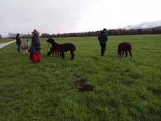 Vorschaubild IMG_20240324_110404_496.jpg 