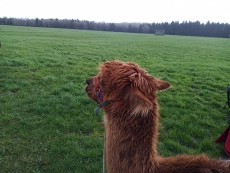 Vorschaubild IMG_20240324_111037_240.jpg 