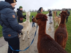 Vorschaubild IMG_20240324_111044_126.jpg 