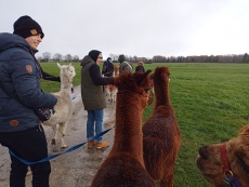 Vorschaubild IMG_20240324_111050_401.jpg 