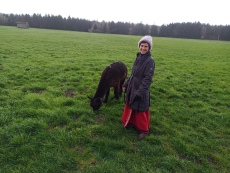 Vorschaubild IMG_20240324_111054_774.jpg 