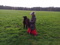 Vorschaubild IMG_20240324_111101_907.jpg 