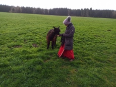 Vorschaubild IMG_20240324_111105_844.jpg 