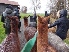 Vorschaubild IMG_20240324_112439_703.jpg 