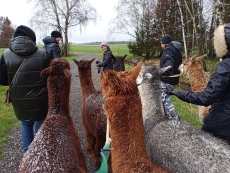 Vorschaubild IMG_20240324_112452_493.jpg 