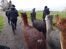 Vorschaubild IMG_20240324_112521_683.jpg 