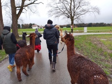 Vorschaubild IMG_20240324_113220_633.jpg 