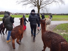 Vorschaubild IMG_20240324_113228_512.jpg 