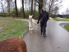 Vorschaubild IMG_20240324_113246_297.jpg 